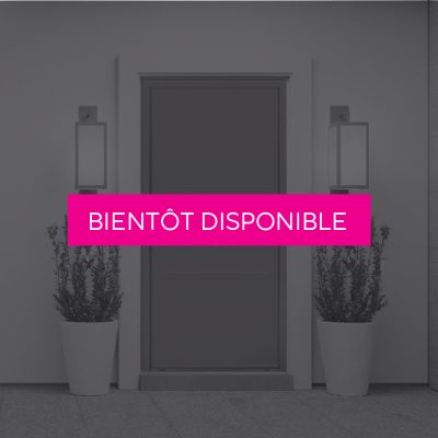 Portes-Entree-ACIER-GRIS