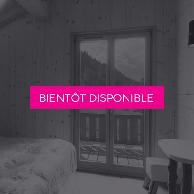 Portes-Fenêtres-BOIS-GRIS