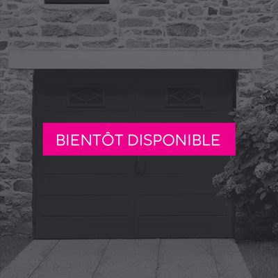 Portes-Garage-Battantes-GRIS